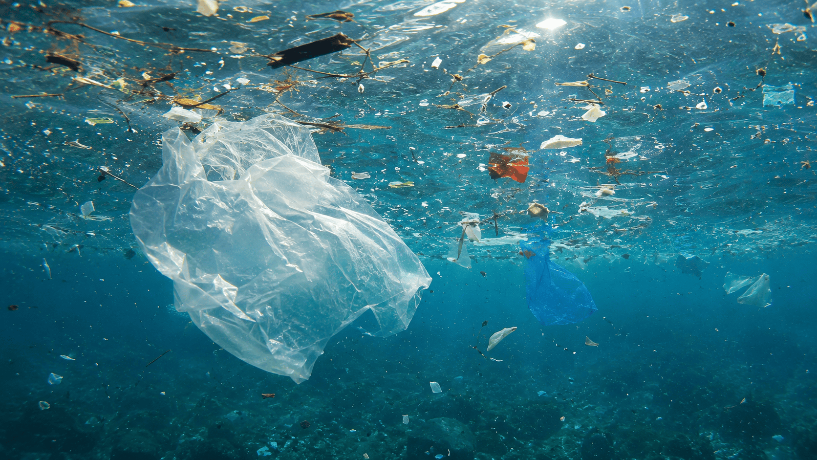 Underwater view of plastic debris and microplastics in the Great Pacific Garbage Patch