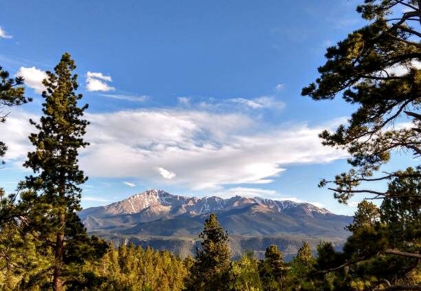 Woodland Park property served by Copia Resources